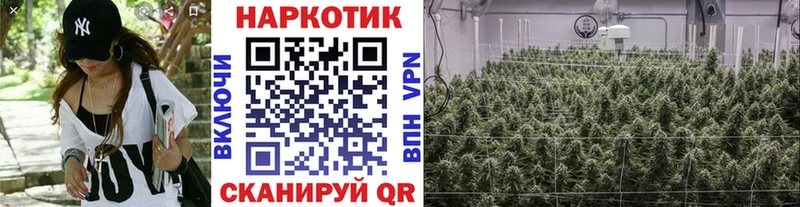 Купить Альфа ПВП  Меф мяу мяу  Амфетамин  ГАШ  Конопля  Кокаин  Гусев