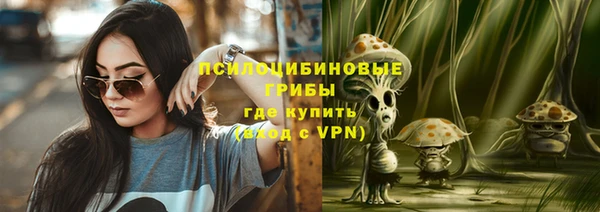 дживик Иннополис