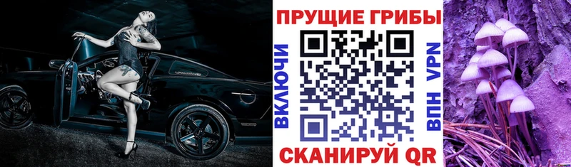 Купить где  Гусев  Псилоцибиновые грибы Magic Shrooms 
