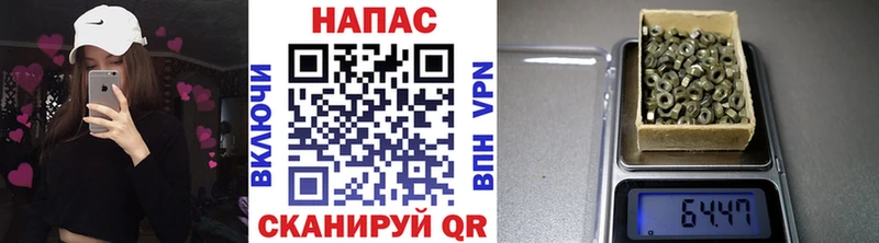 Конопля ГИДРОПОН  Купить где  Гусев 